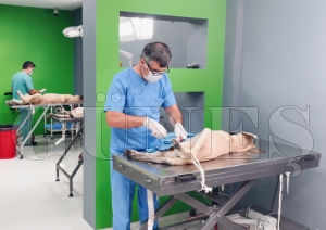 Hayvan hastanesinde 12 bin 658 can yaşama tutundu Hayvan hastanesinde 12 bin 658 can yaşama tutundu